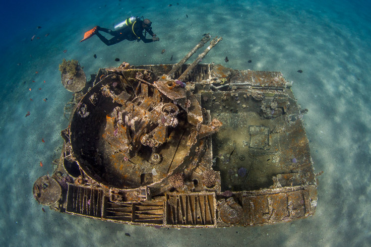 Underwater Photographer of the Year 2016