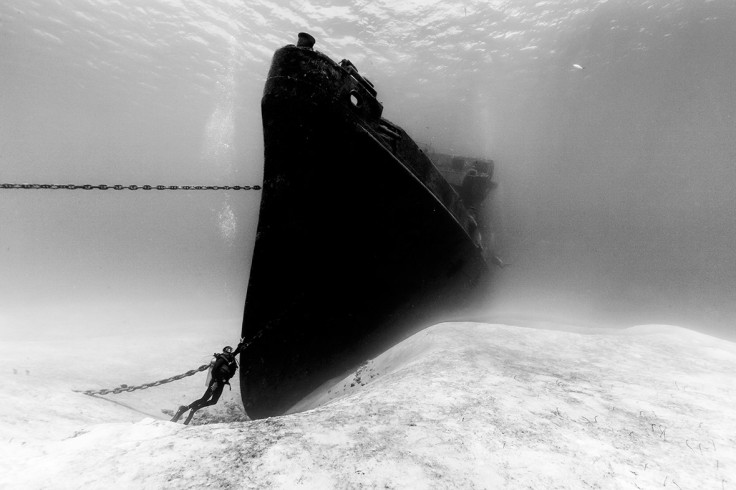 Underwater Photographer of the Year 2016