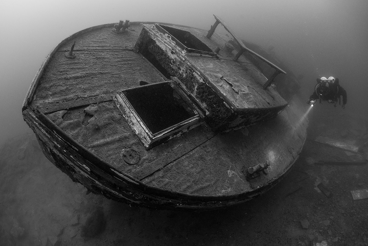 Underwater Photographer of the Year 2016 Breathtaking photos from