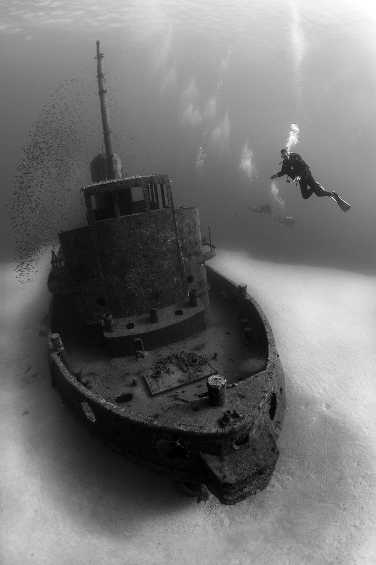 Underwater Photographer of the Year 2016