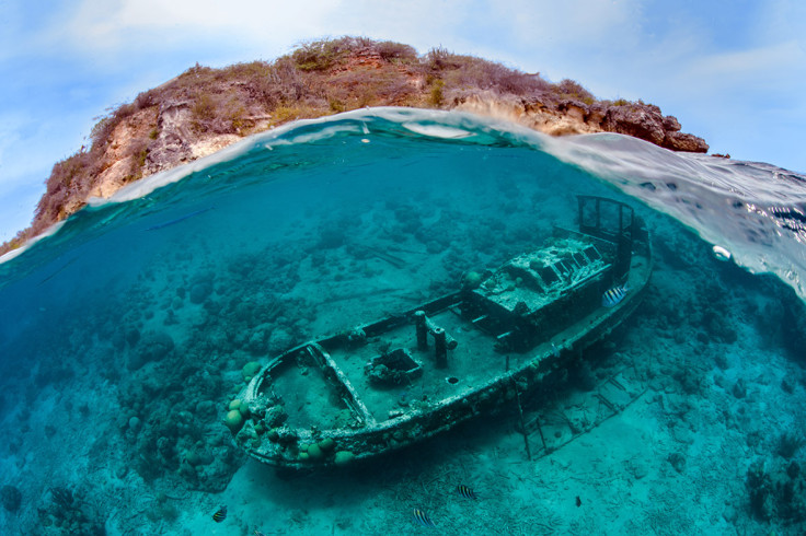 Underwater Photographer of the Year 2016