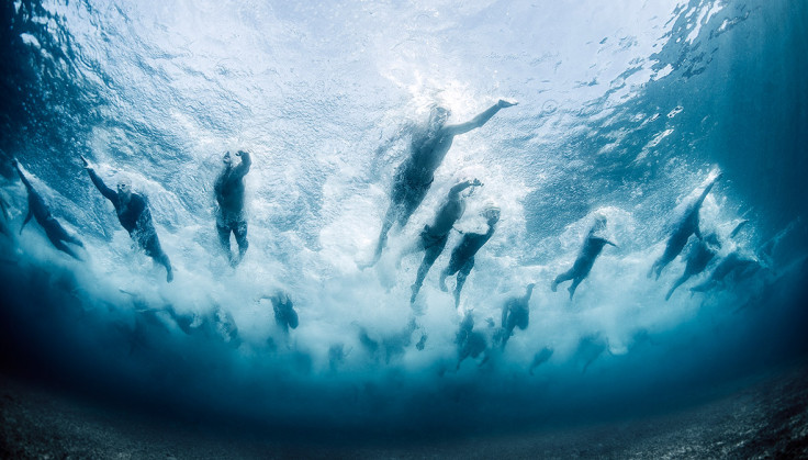 Underwater Photographer of the Year 2016