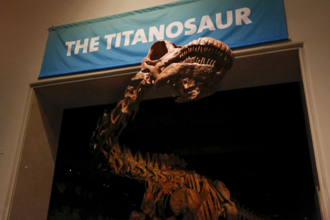 Titanosaur VR
