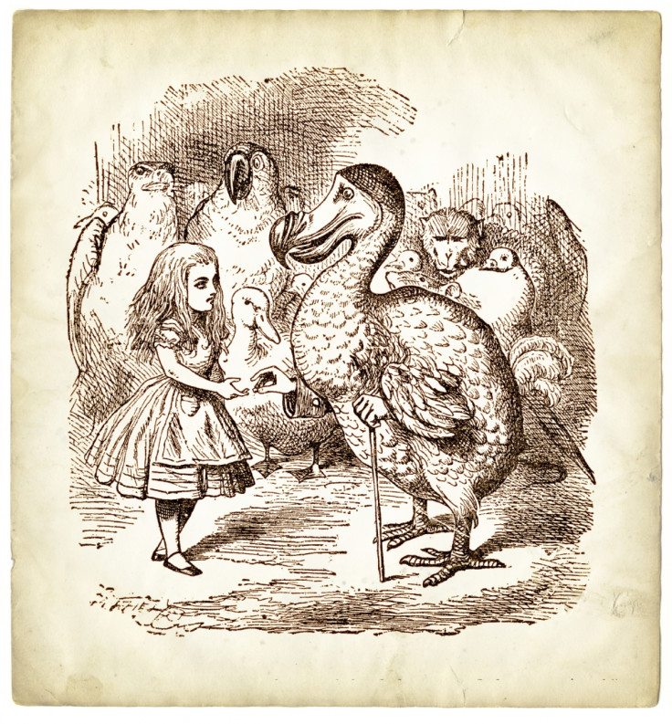 Alice and dodos