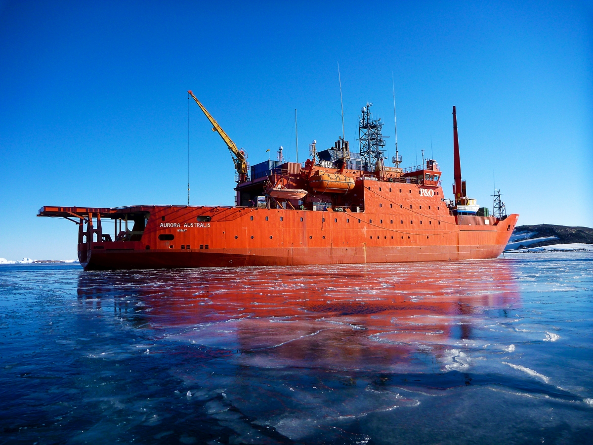 aurora cruise ship aground