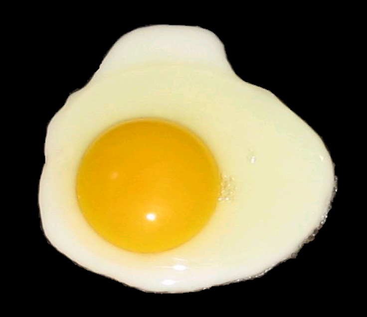 cracked fried egg