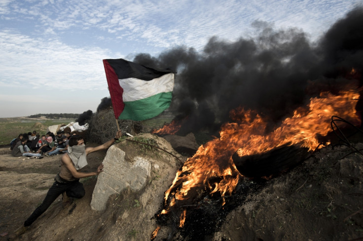 Palestinian protester