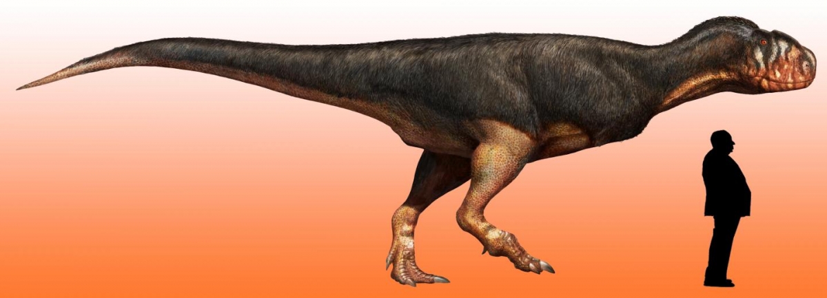 abelisaur giant fossil