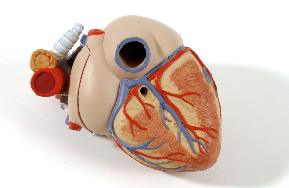 broken heart syndrome