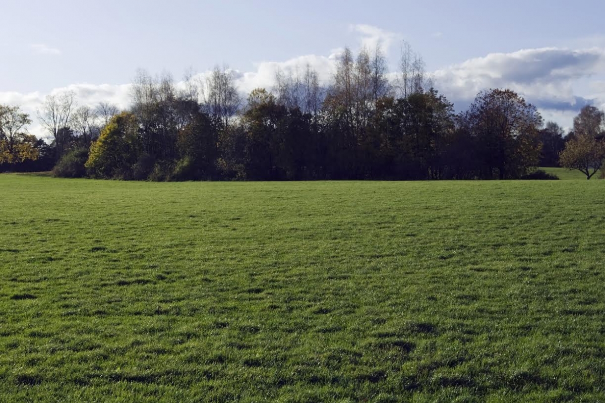 greenbelts-have-become-one-of-the-major-causes-of-the-uk-s-housing-crisis