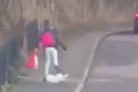 woman kicks dog