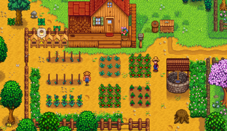 Stardew Valley Guide 1