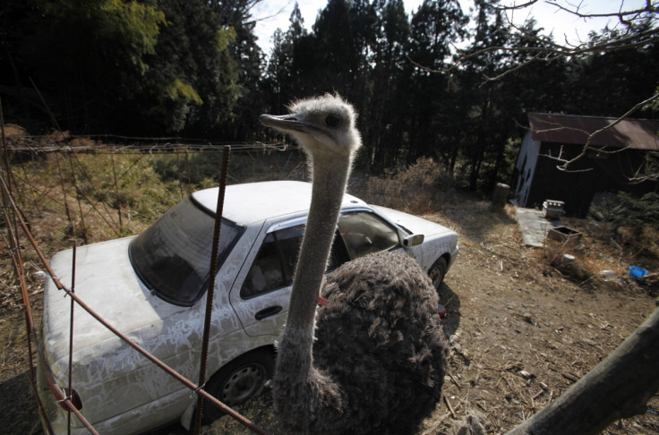 fukushima exclusion zone