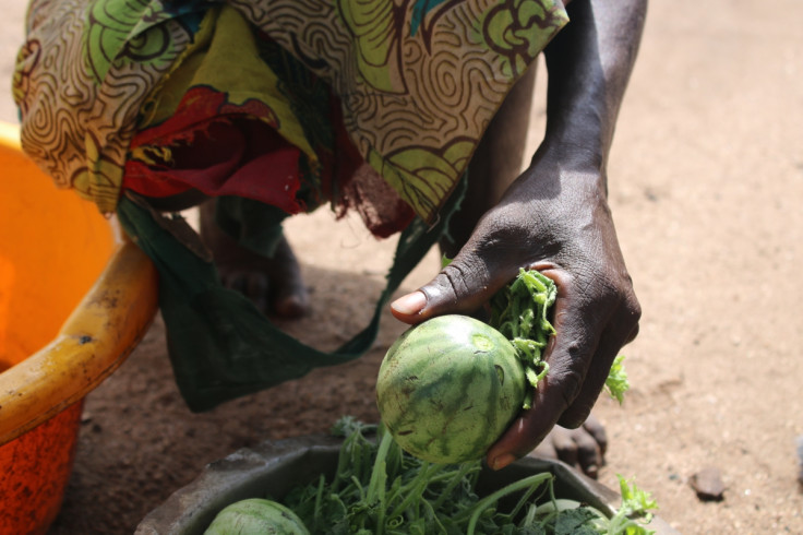 Malawi drought