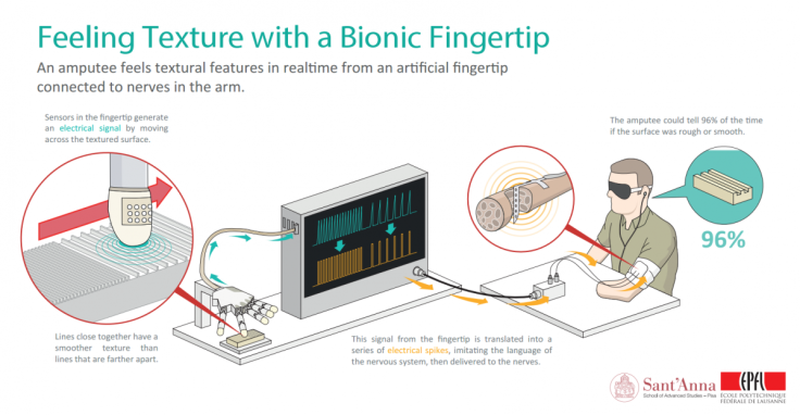 Bionic fingertip