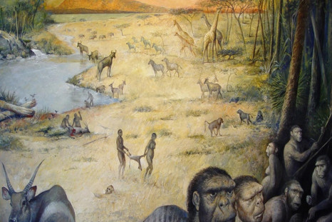 Early human site