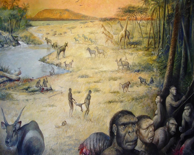 Early human site