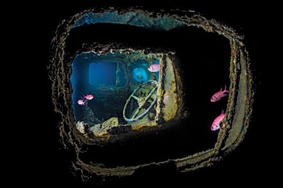 Underwater Photography Masterclass by Alex Mustard