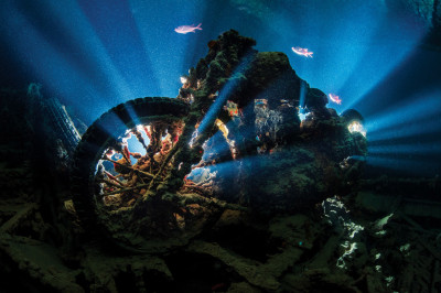 Underwater Photography Masterclass by Alex Mustard