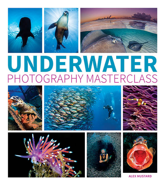 Underwater Photography Masterclass by Alex Mustard