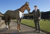 william hill cheltenham tweed horse william hill cheltenham tweed horse