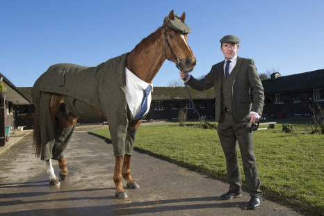 william hill cheltenham tweed horse
