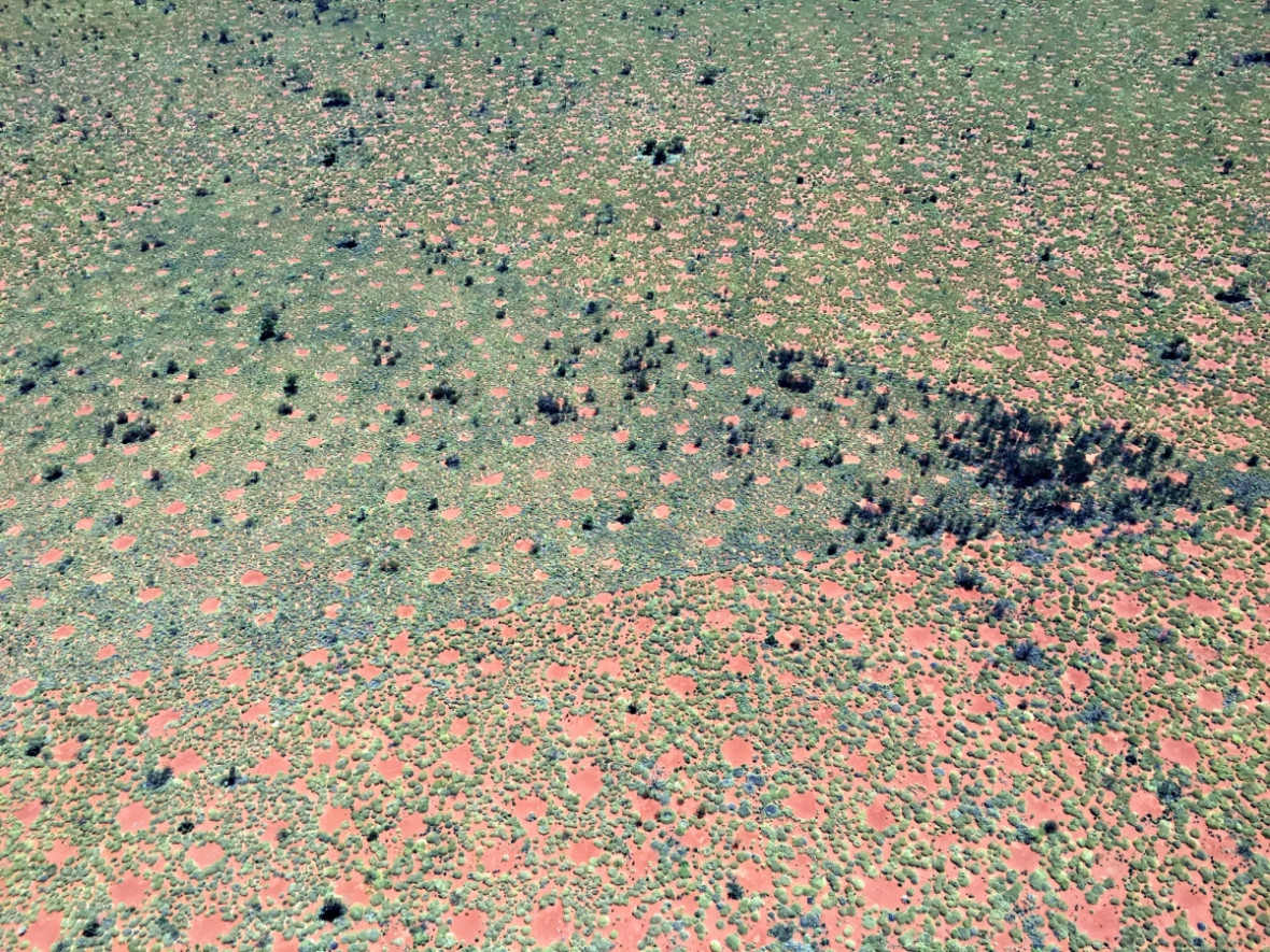 australia fairy circles australia fairy circles