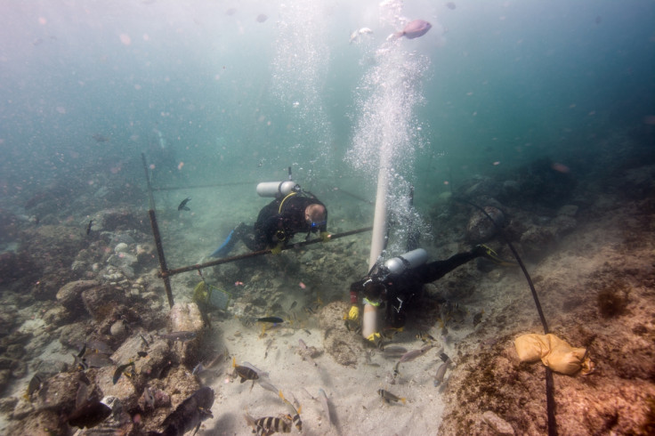 Esmeralda shipwreck