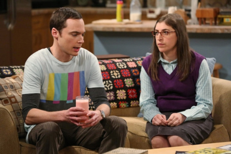 Big Bang Theory season 9 episode 19