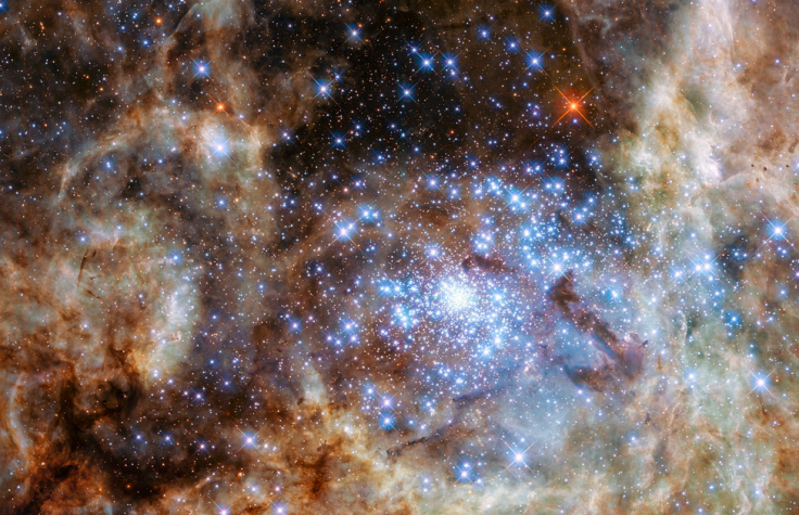 Star Cluster