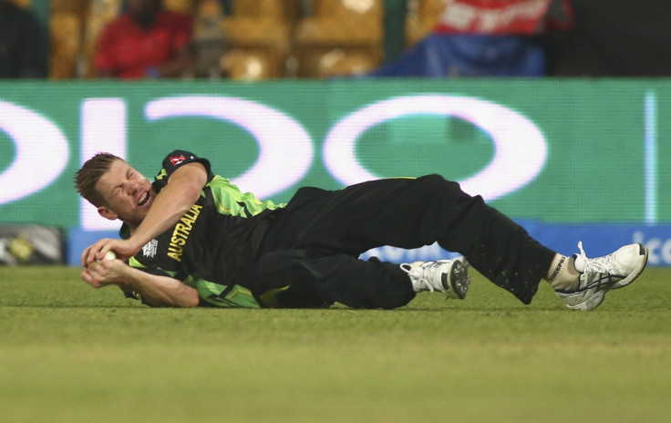 James Faulkner holds onto an earlier catch