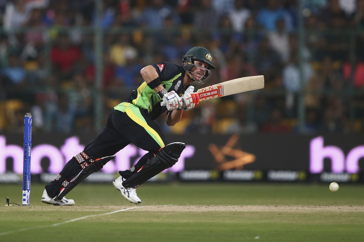 David Warner at the crease David Warner at the crease