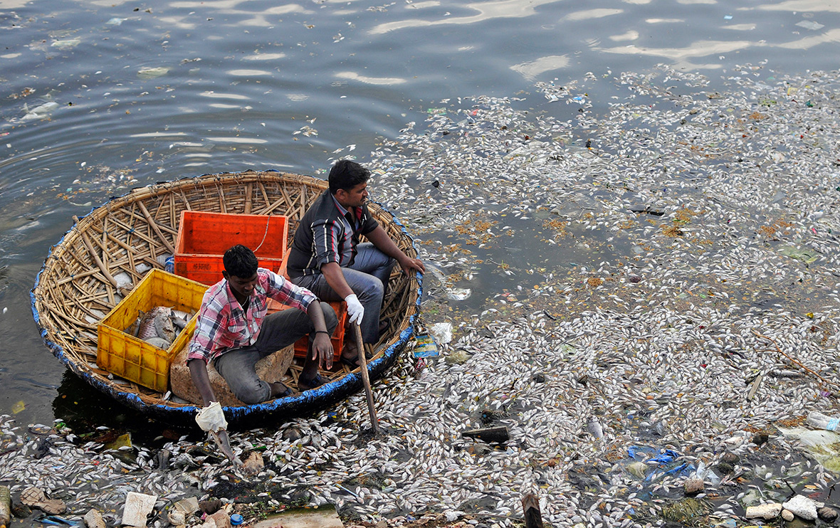 world-water-day-2016-india-has-the-world-s-worst-water-quality-and-it