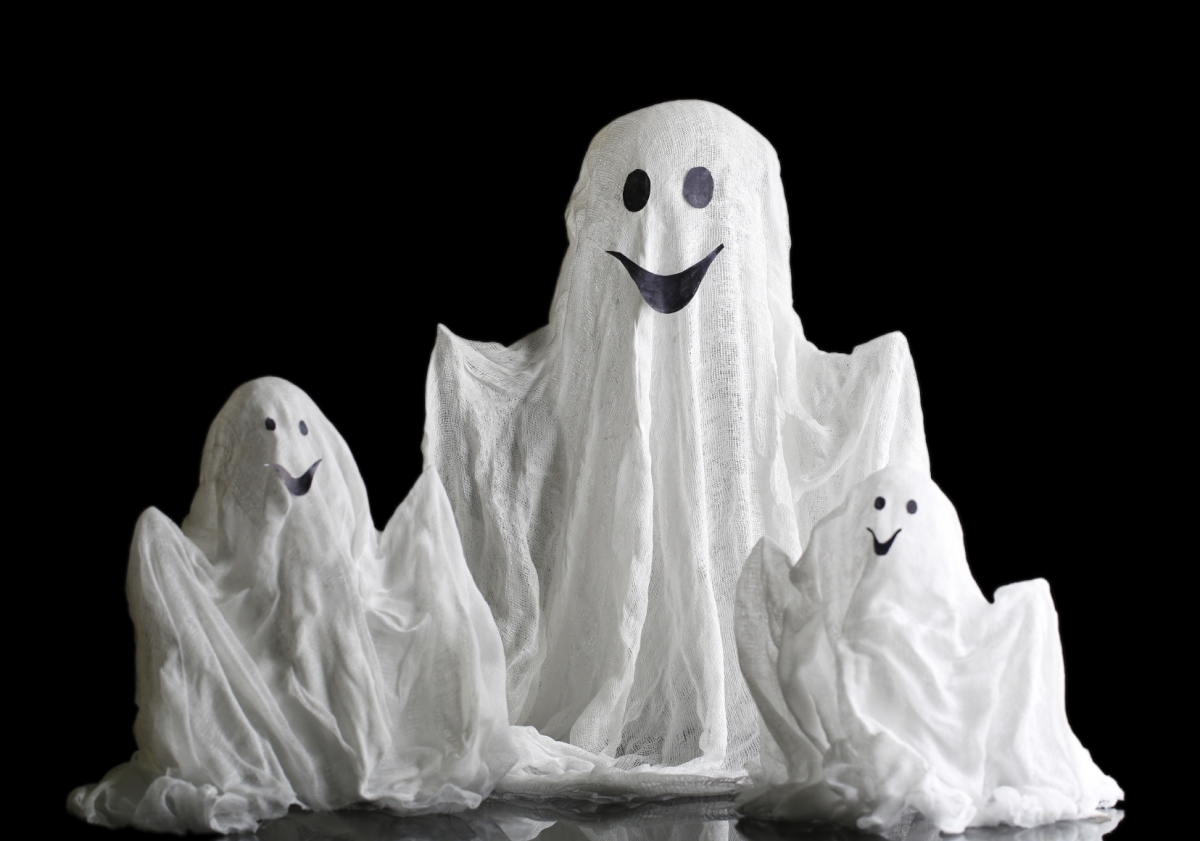 Ghosts: Paranormal visions are caused by a communication ...