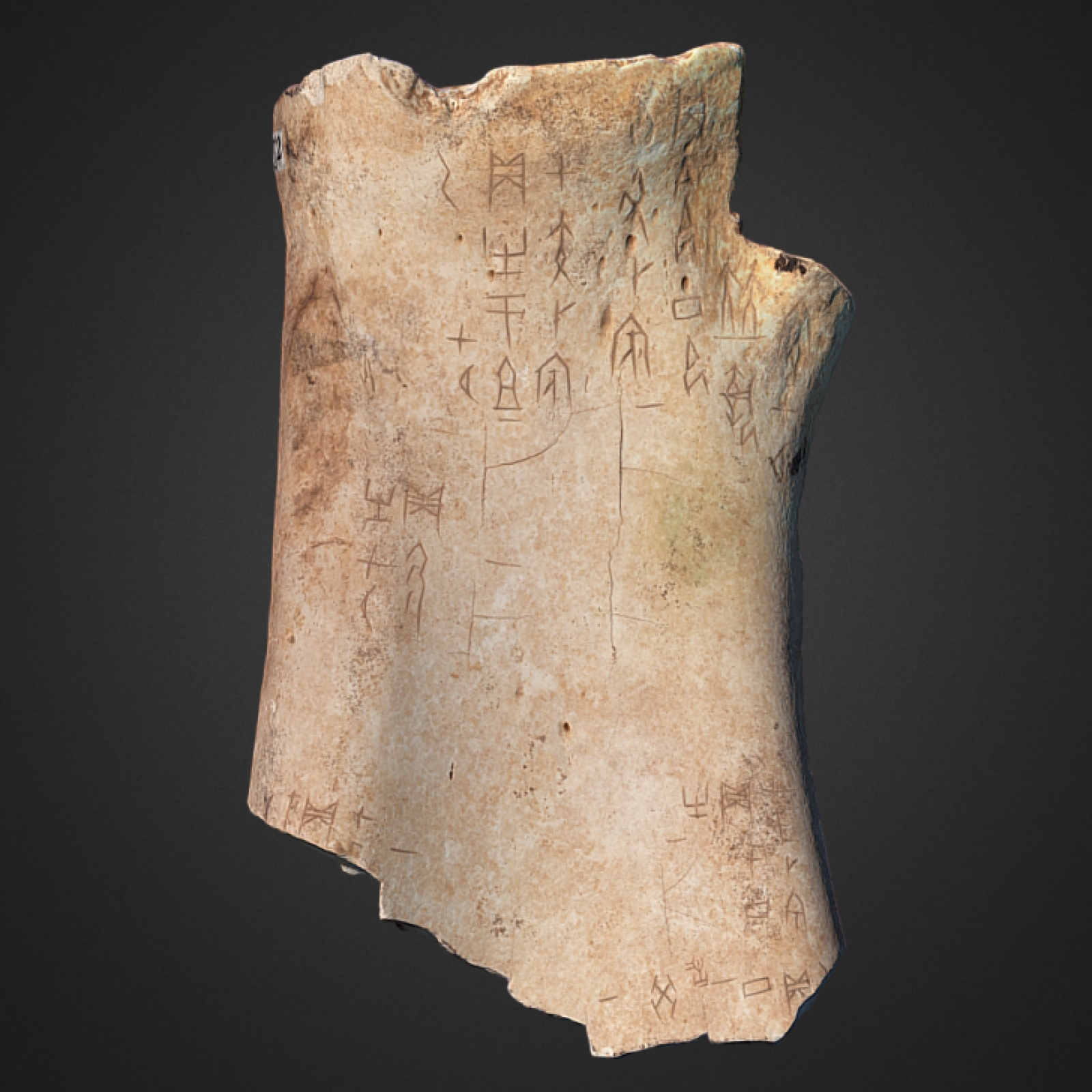 Oracle Bones A 3000yearold Voice Of The Dead PDF) 'From Bloomsbury To