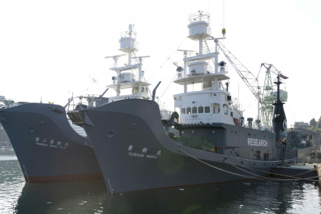 Japan whaling fleet returns