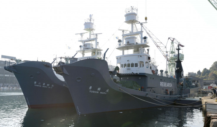 Japan whaling fleet returns