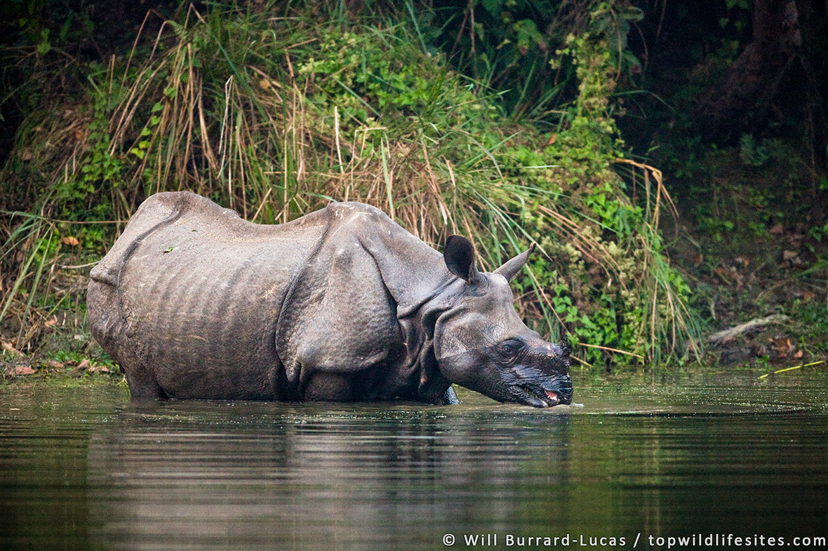 Top Wildlife Sites of the World: Where to photograph nature's greatest ...