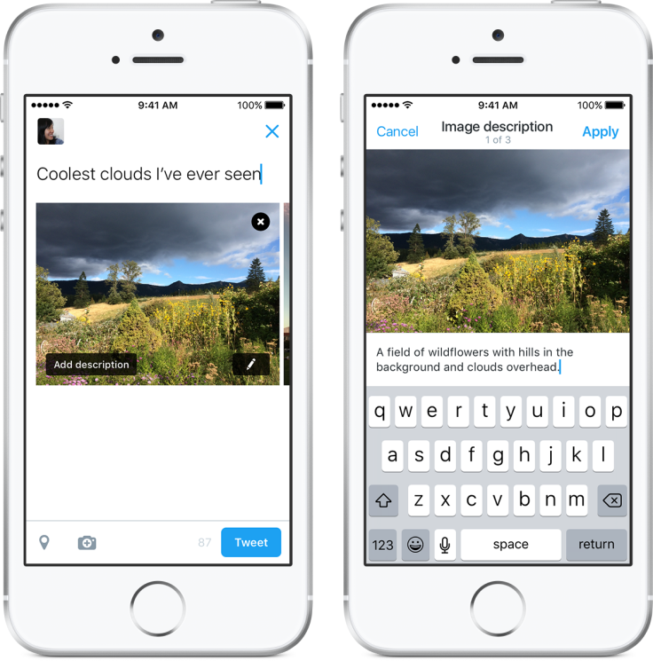 Twitter adds image descriptions to make pictures accessible to the visually impaired