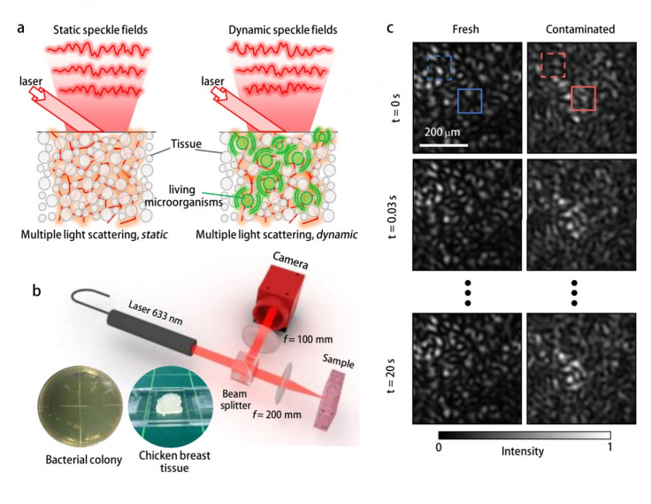 Laser system to detect food poisoning