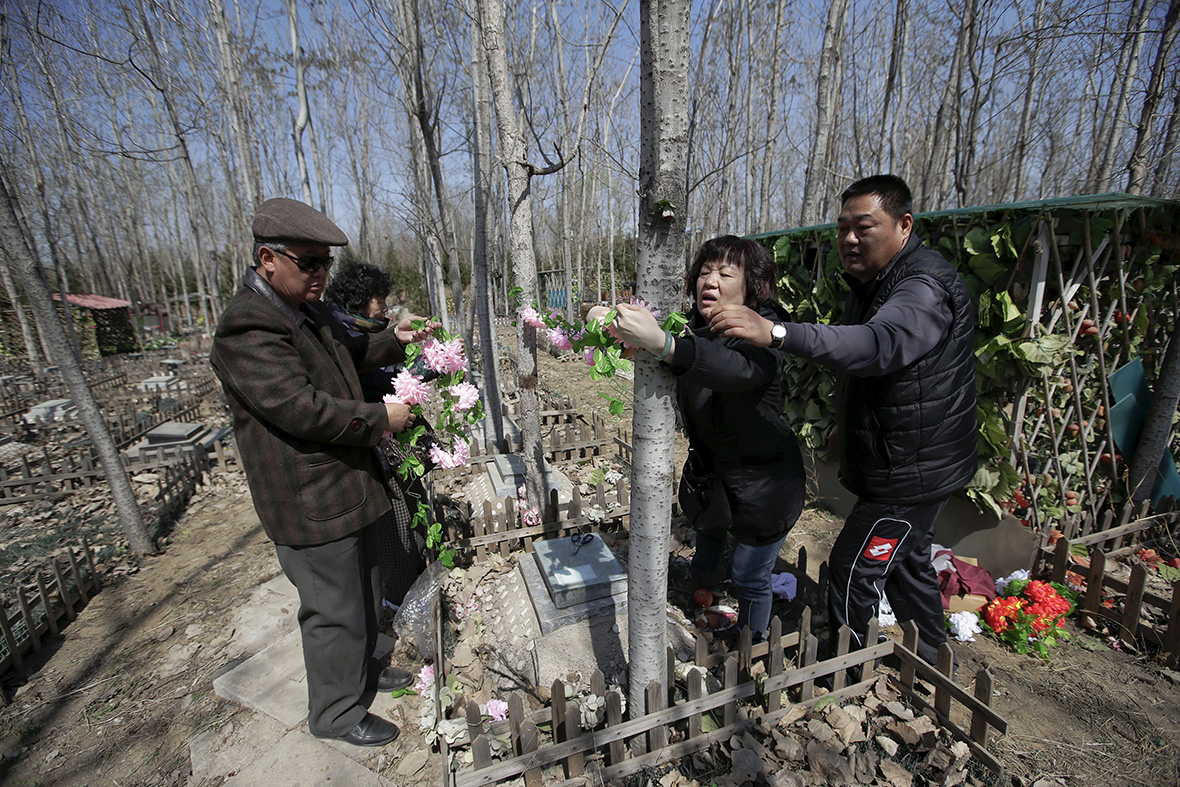 Baifu pet cemetery