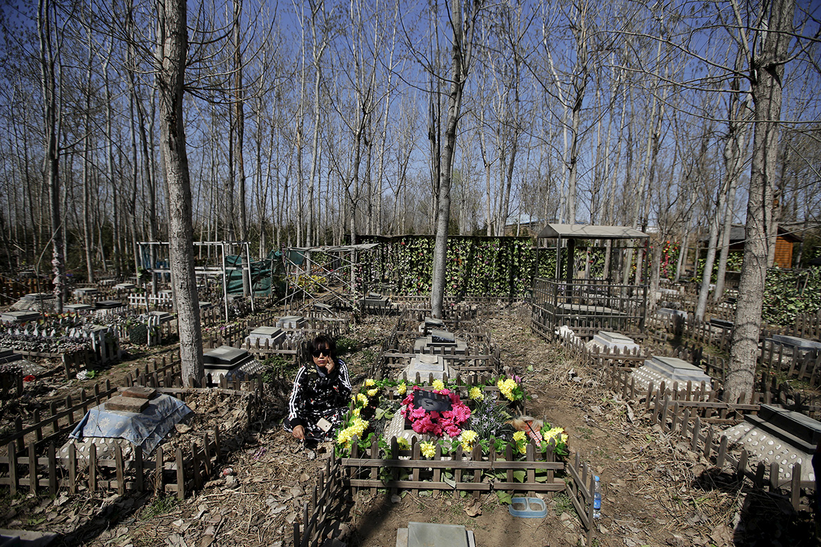Baifu pet cemetery