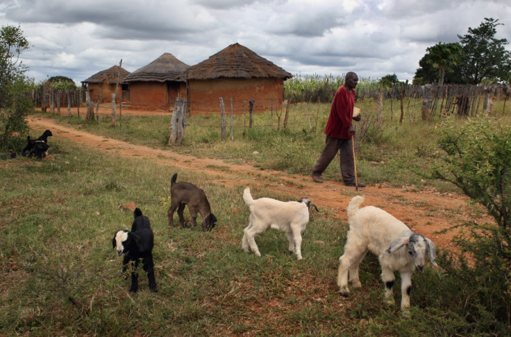 Zimbabwe's land reform