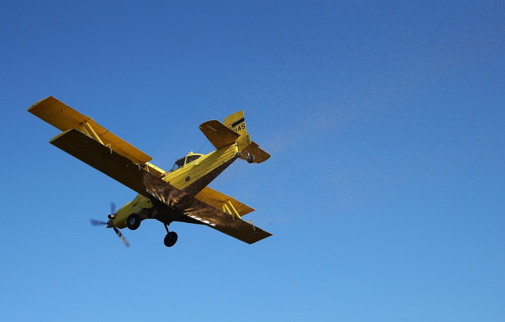 California plane crash