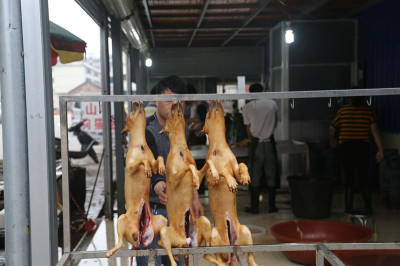 Hanging slaughtered dogs