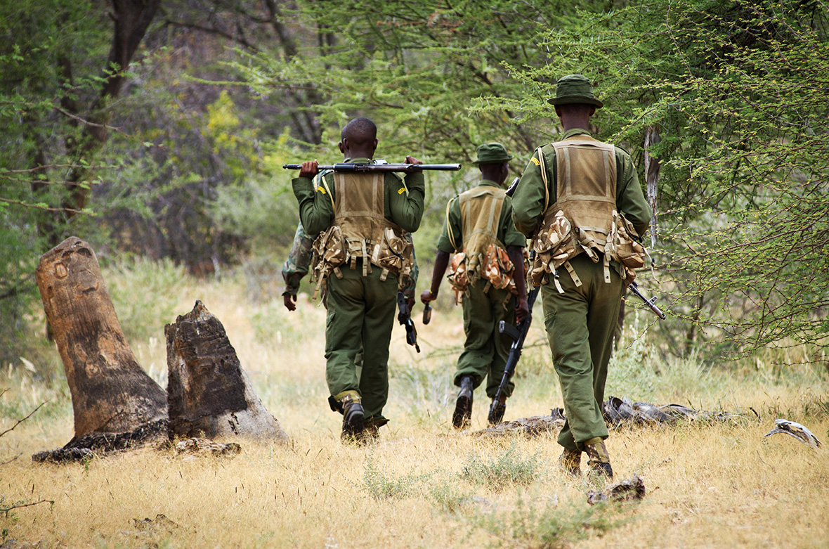 Image result for poaching ivory in kenya images