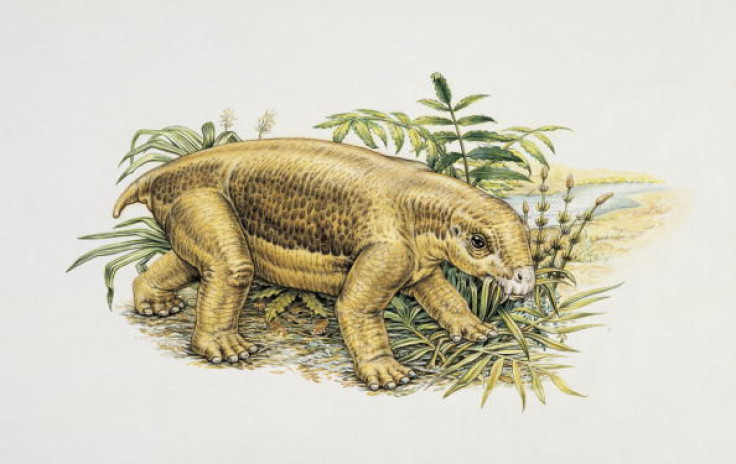 animal species Lystrosaurus