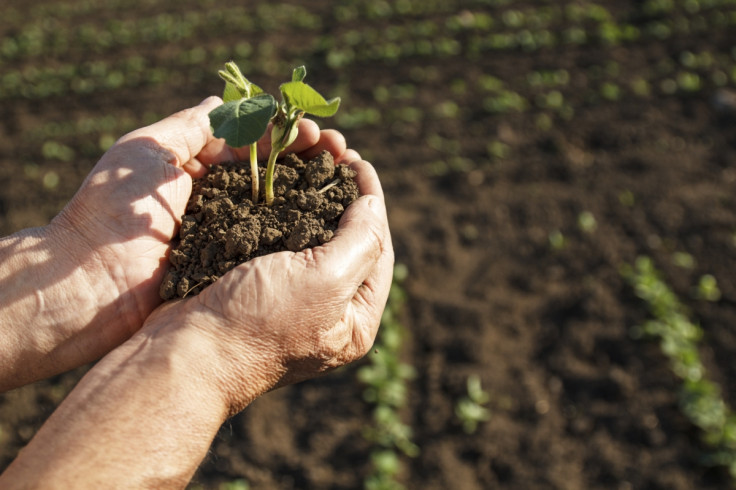 farmer farming