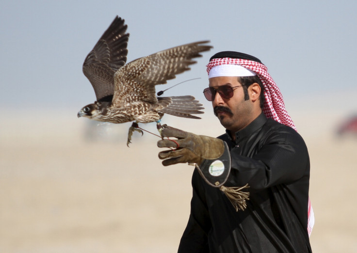 A Qatari man releases his falcon