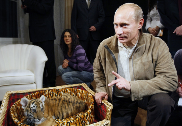 Putin with a tiger